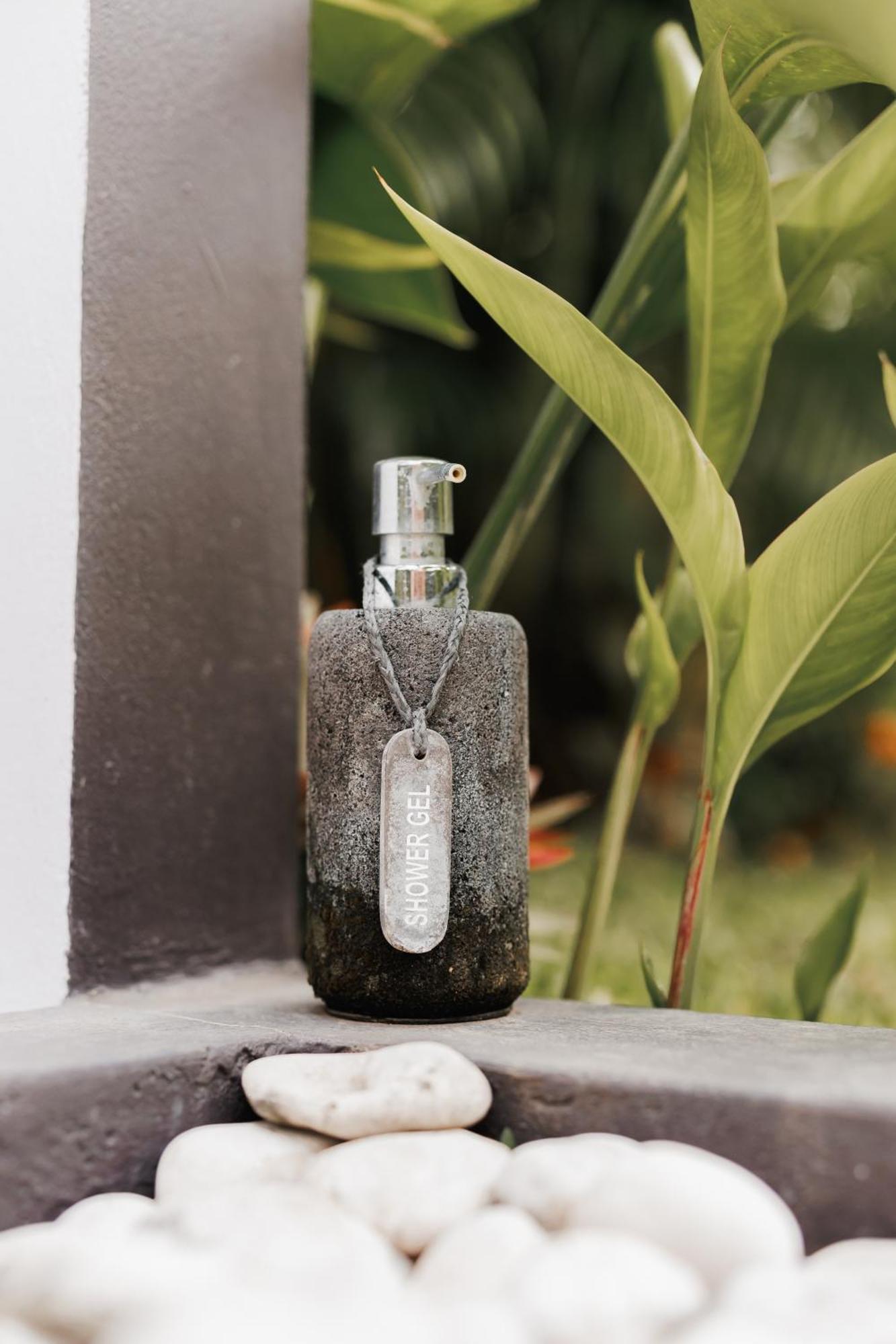 Villa Leonora Ubud  Bagian luar foto